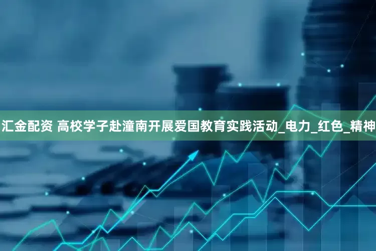 汇金配资 高校学子赴潼南开展爱国教育实践活动_电力_红色_精神