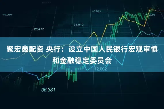 聚宏鑫配资 央行：设立中国人民银行宏观审慎和金融稳定委员会