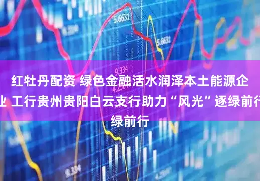 红牡丹配资 绿色金融活水润泽本土能源企业 工行贵州贵阳白云支行助力“风光”逐绿前行