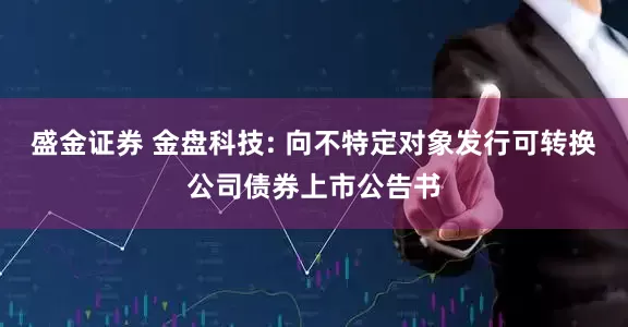 盛金证券 金盘科技: 向不特定对象发行可转换公司债券上市公告书